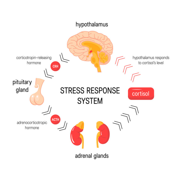 How to relieve stress in 2020? The ultimate guide - Stress.app