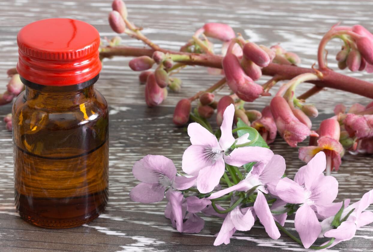 Fleur de Bach : solution pour lutter contre le stress ? - Stress.app