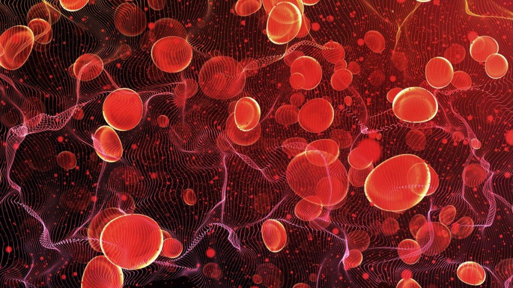 Globules rouges : comment augmenter son taux naturellement ?