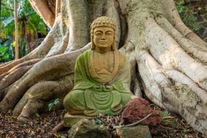 Arbre de vie : sa signification dans le bouddhisme ?
