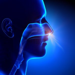 Rééducation respiration nasale: comment respirer par le nez?