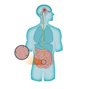 Comment activer le système nerveux parasympathique pour se reposer?