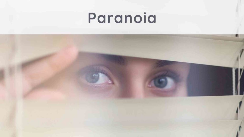 Paranoia: how to get out of it?