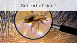Lice : how to get rid of it ?